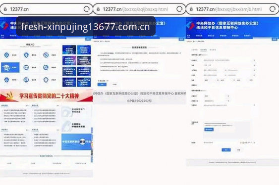 新浦京13677中文官方站更清爽访问入口详解与实操建议